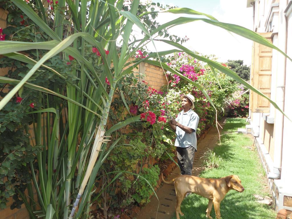 Meva Guesthouse Antananarivo Eksteriør bilde